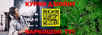альфа пвп Заводоуковск